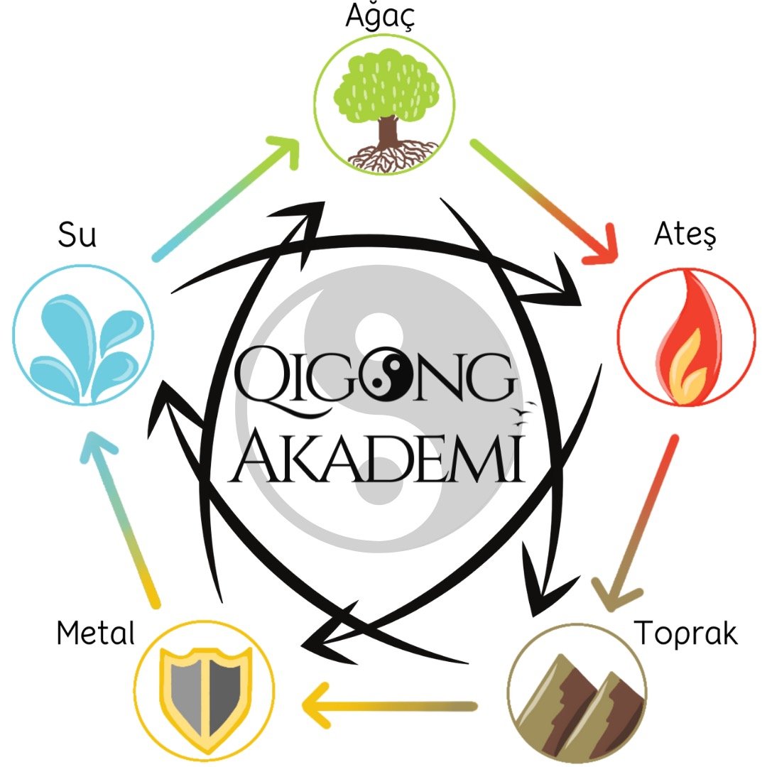 5 Element Çin Tıbbı Eğitim Tekrarı Eski Öğrencilerimize Özel