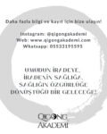 06.2025 Qigong eğitim duyuru.zip - 8