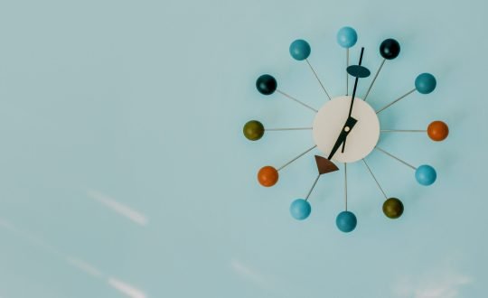 pexels-tom-swinnen-2249964