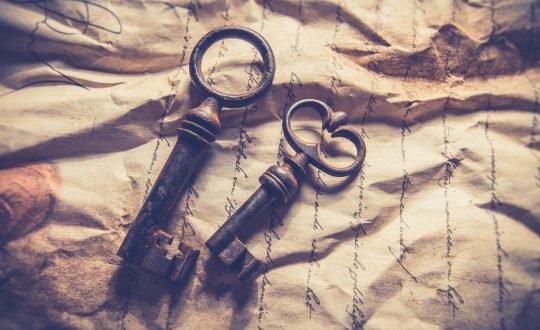 pexels-ylanite-koppens-612800