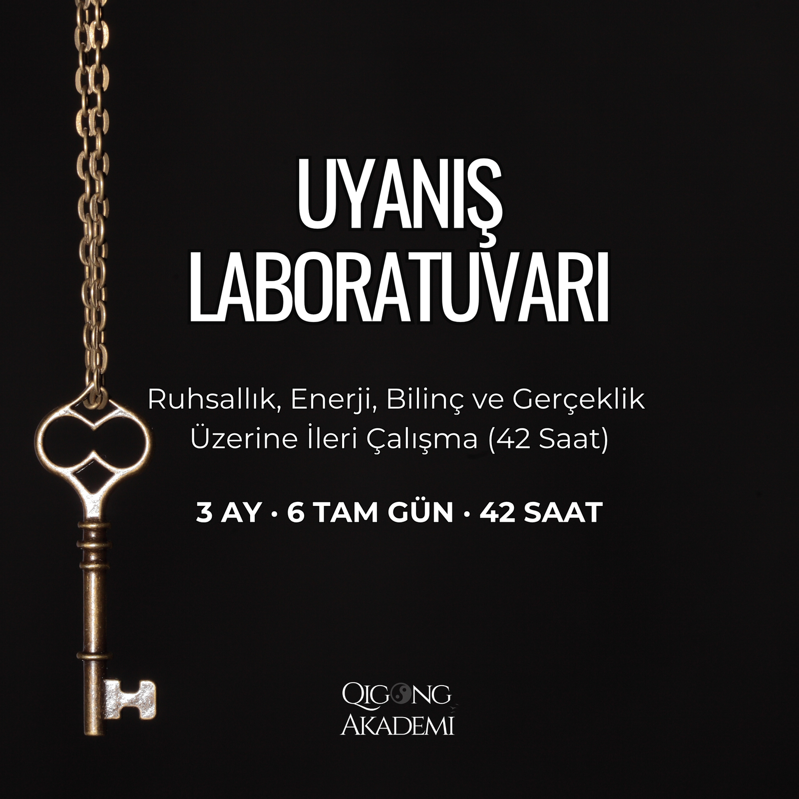 UYANIŞ LABORATUVARI Ruhsallık, Enerji, Bilinç ve Gerçeklik Üzerine İleri Çalışma (42 Saat)