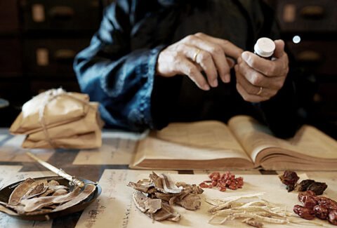 The-8-branches-of-chinese-medicine